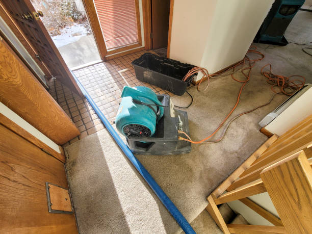 Best Emergency water damage restoration  in Clarion, IA