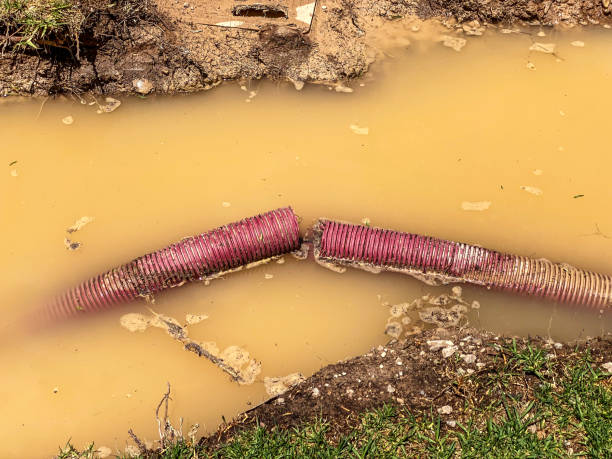 Best Water damage mitigation services  in Clarion, IA